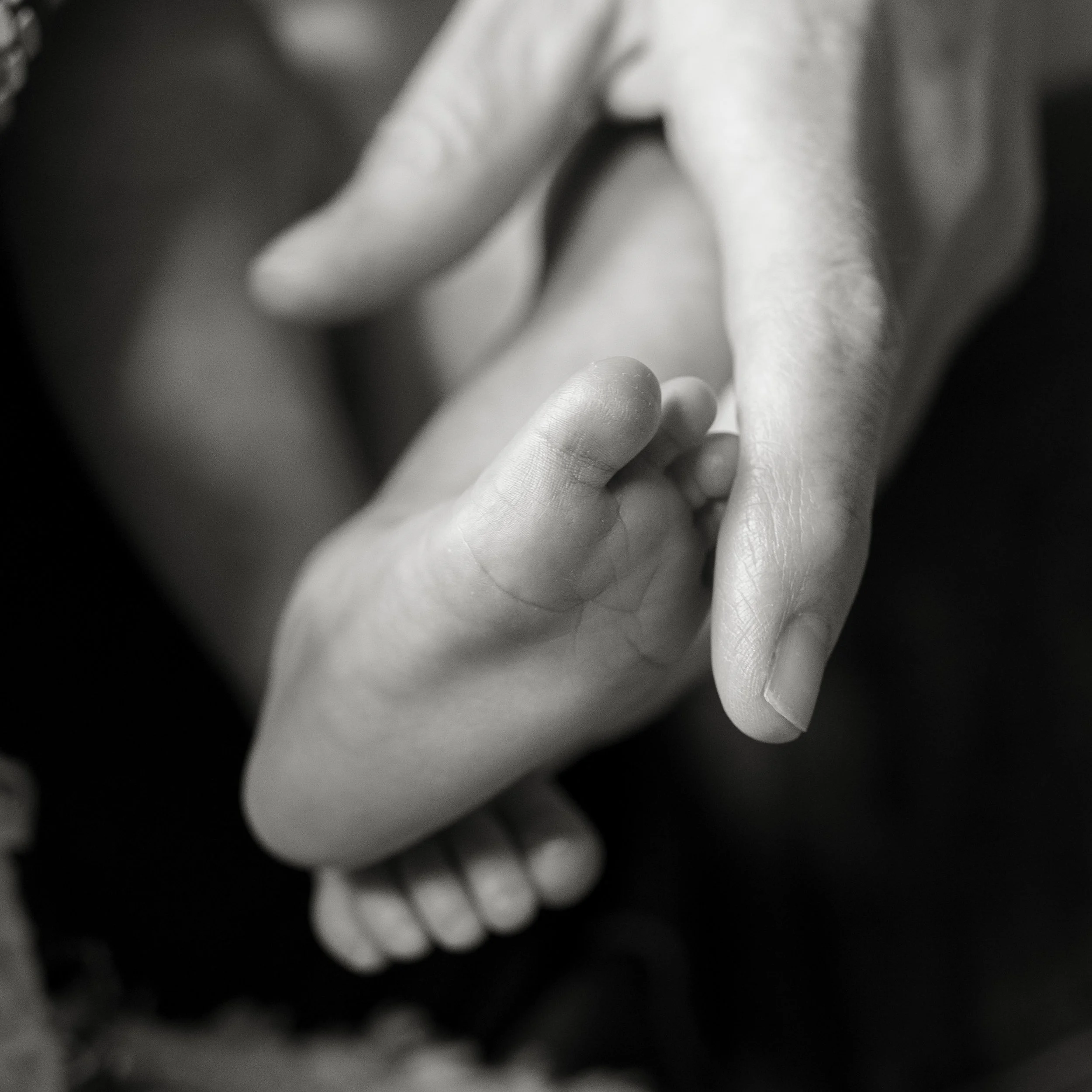 Sara Newborn Photos-68.jpg