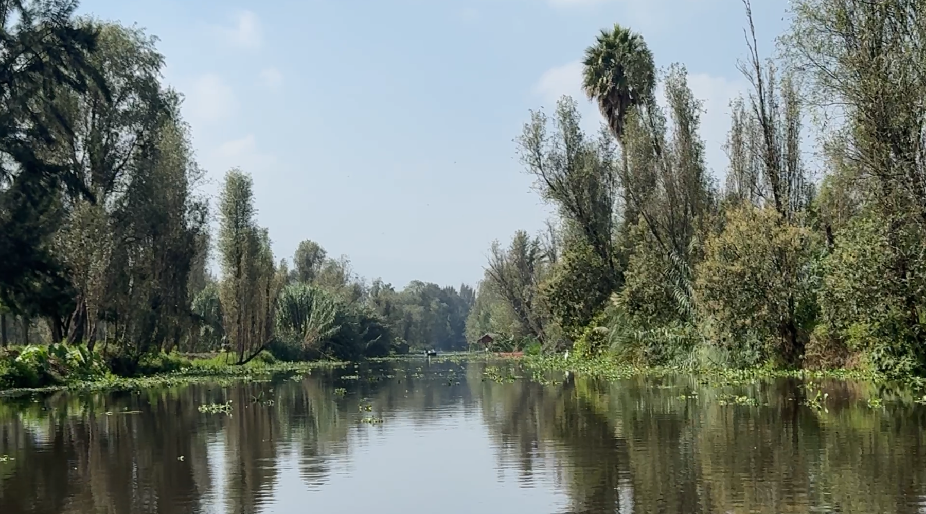 De la chinampa a la mesa: una iniciativa del México GP que promueve el turismo sostenible en Xochimilco