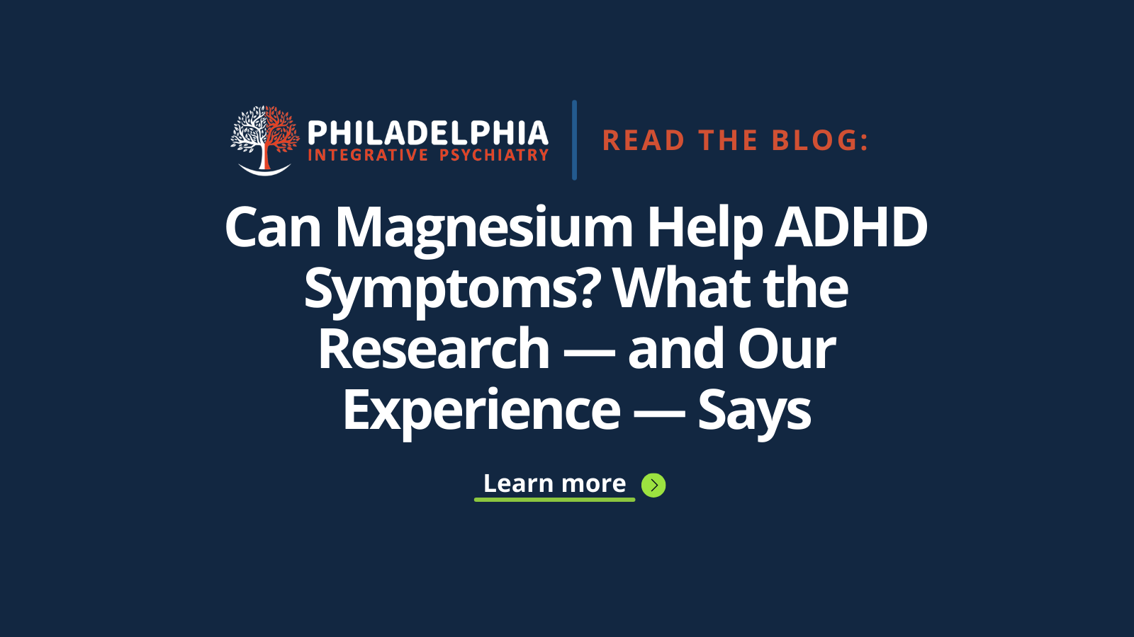 PIP Blog Banners.png