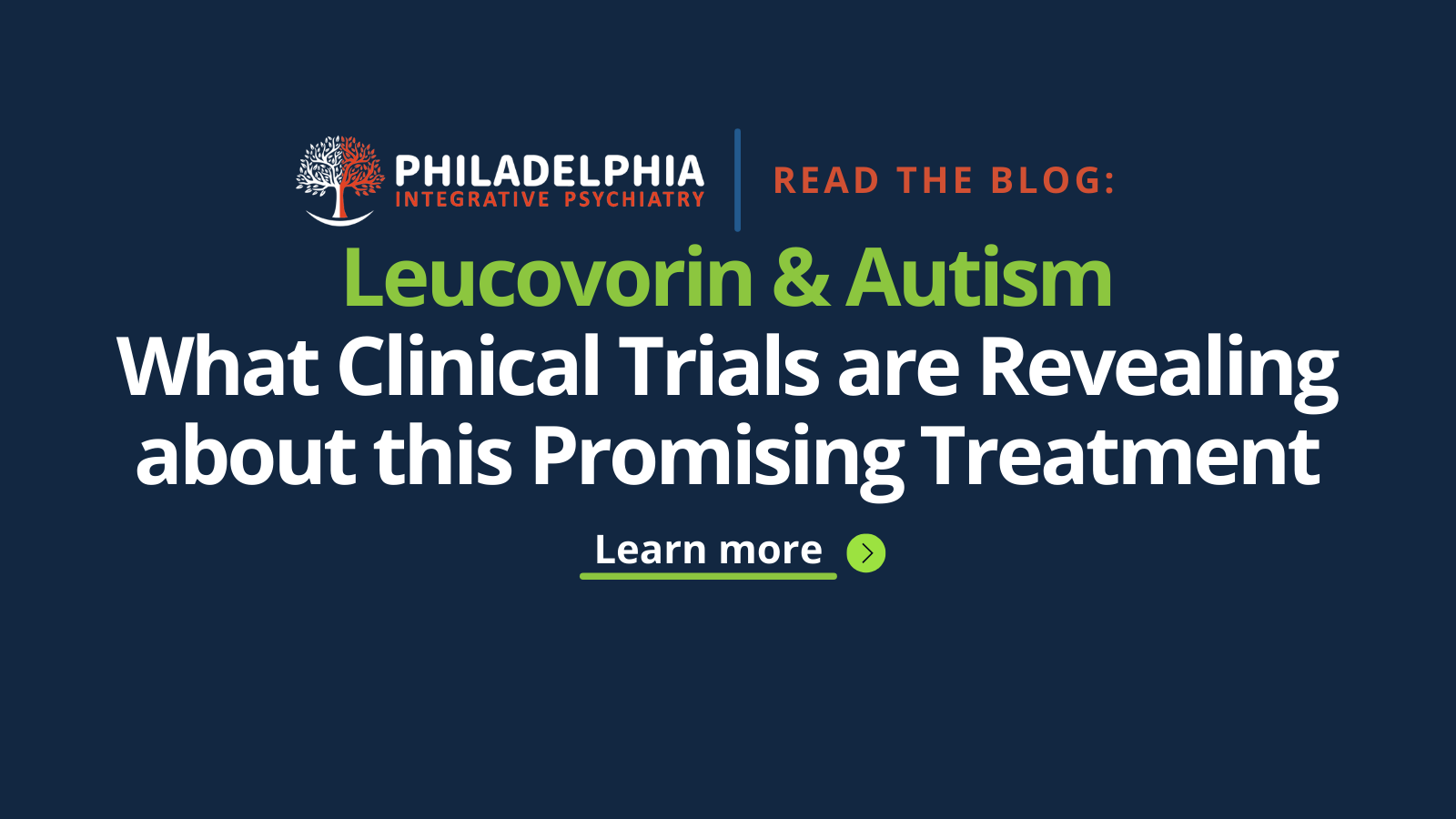 PIP Blog Banners.png