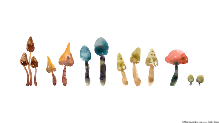 Fall 2022 Newsletter