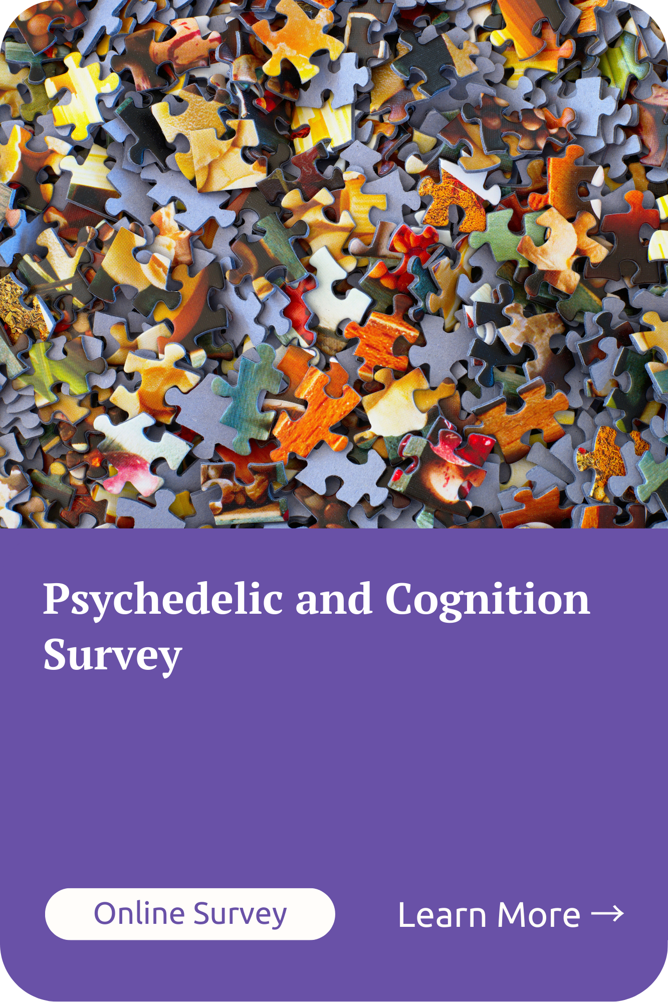 Study Cards Psychedelic and Cognition Survey.png