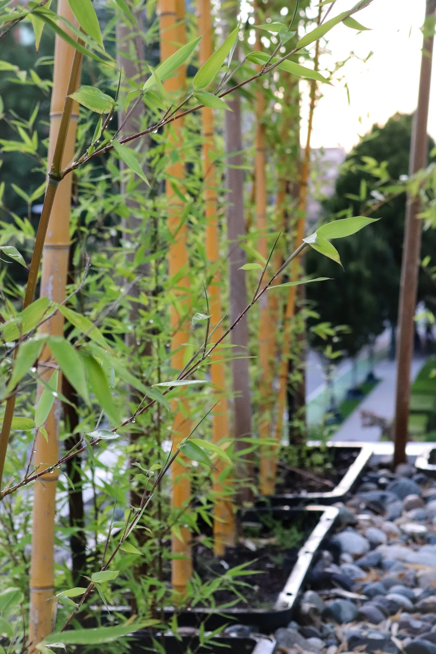 Moov Yoga Studio — living space 6, commercial interior design in Vancouver, BC by LRD Studio. Photography by Jordan Smith.