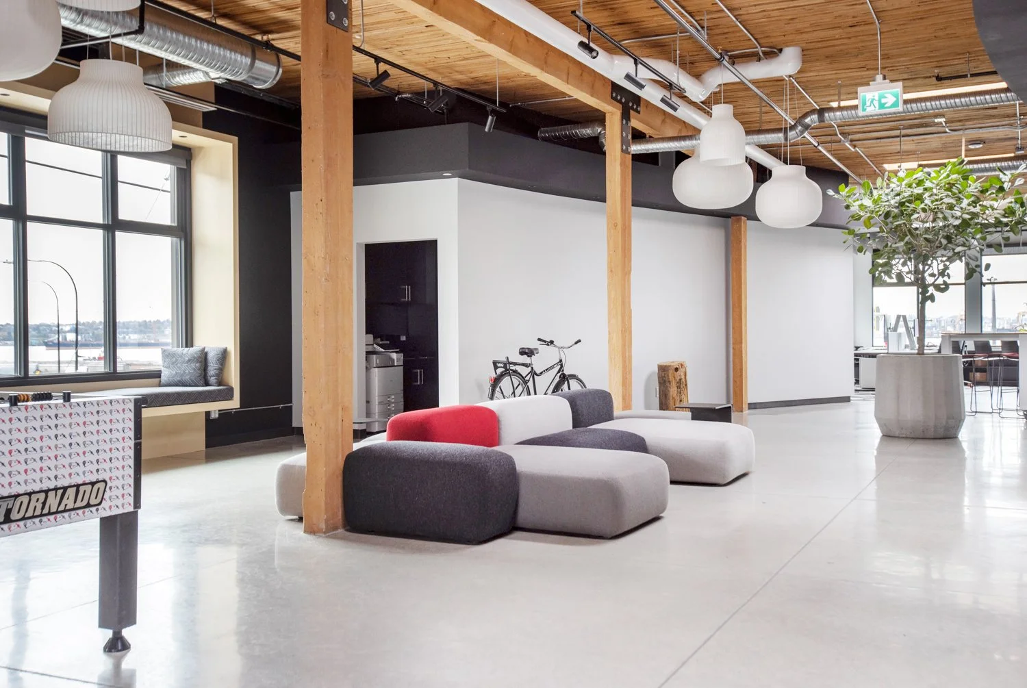 SRAM Concrete planter with fig tree in foreground, commercial interior design in North Vancouver, BC by LRD Studio. Photography by Janis Nicolay.