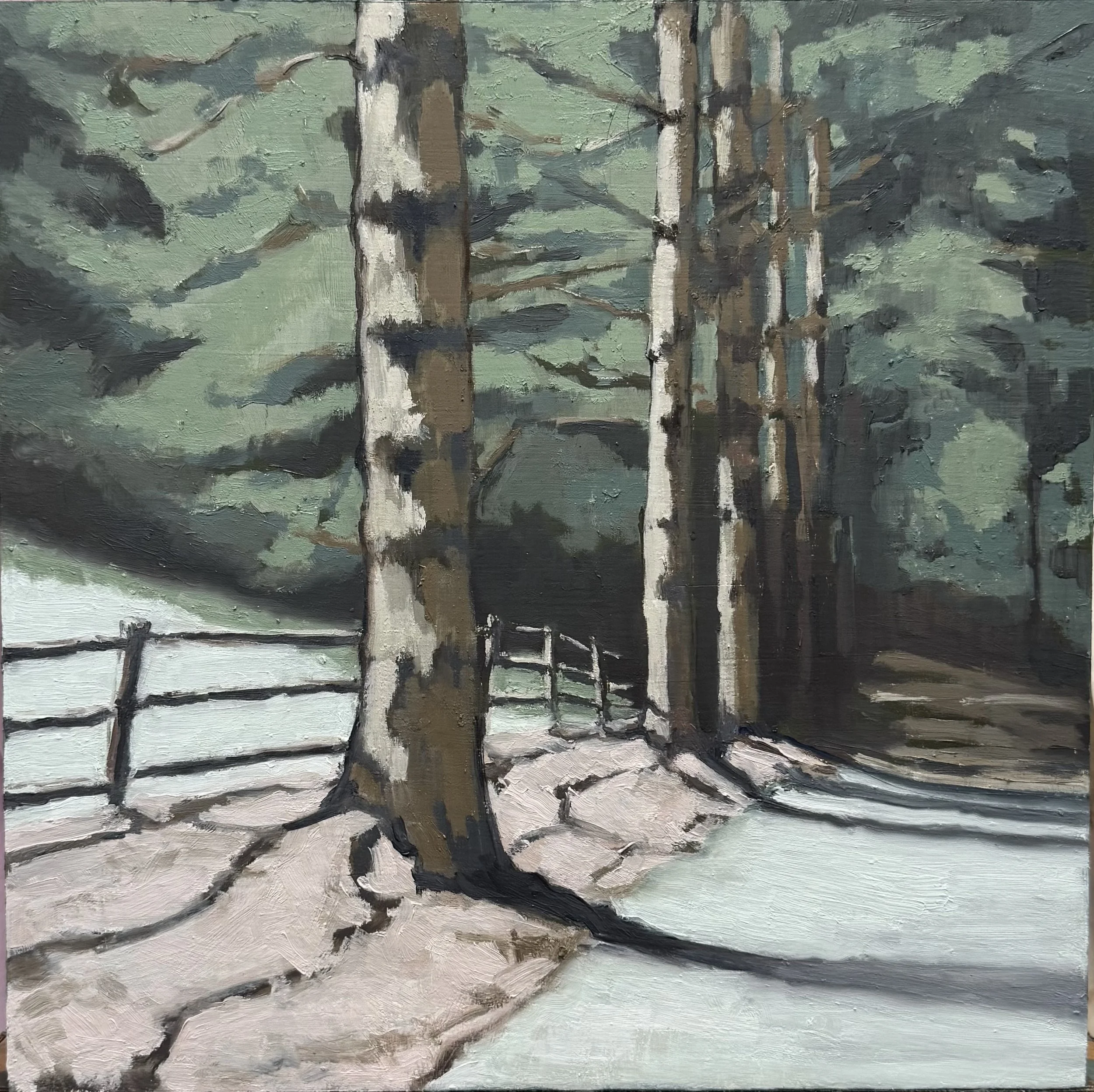 Pine Canopy, 12 x 12", oil on board