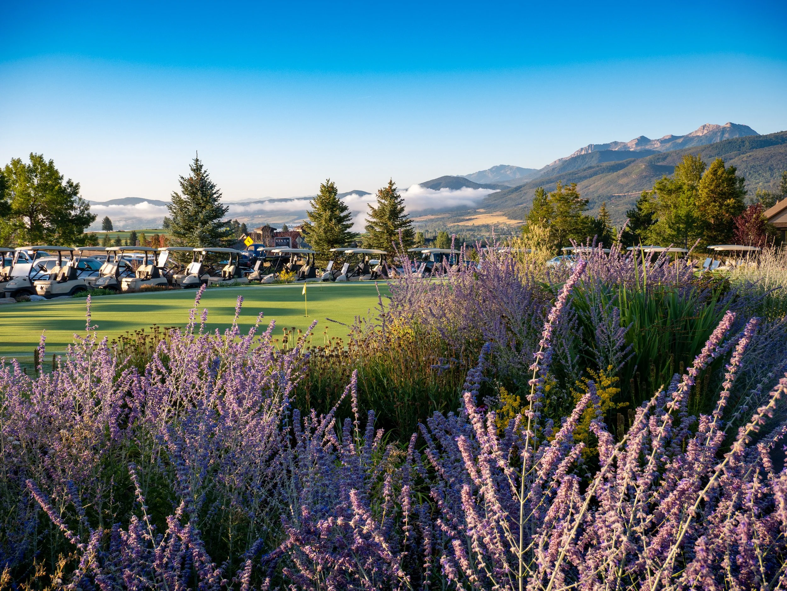 Golf Tournament