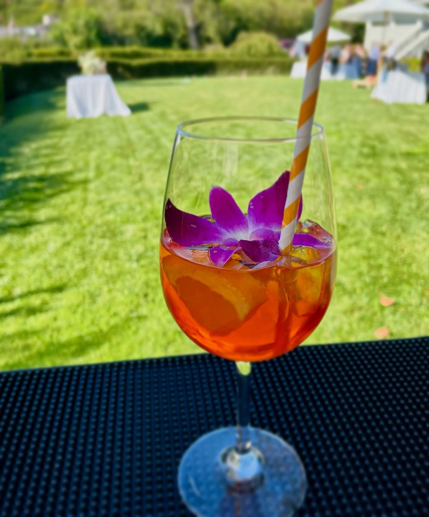 Anyone else craving something refreshing with this sunshine? π§ππΆοΈβοΈ
#craftedbartending #craftedbartendingservices #feelslikesummer #sonomacounty #sunshine #aperolspritz #refreshing #springcocktails #summercocktails #beverageservice #beveragecater