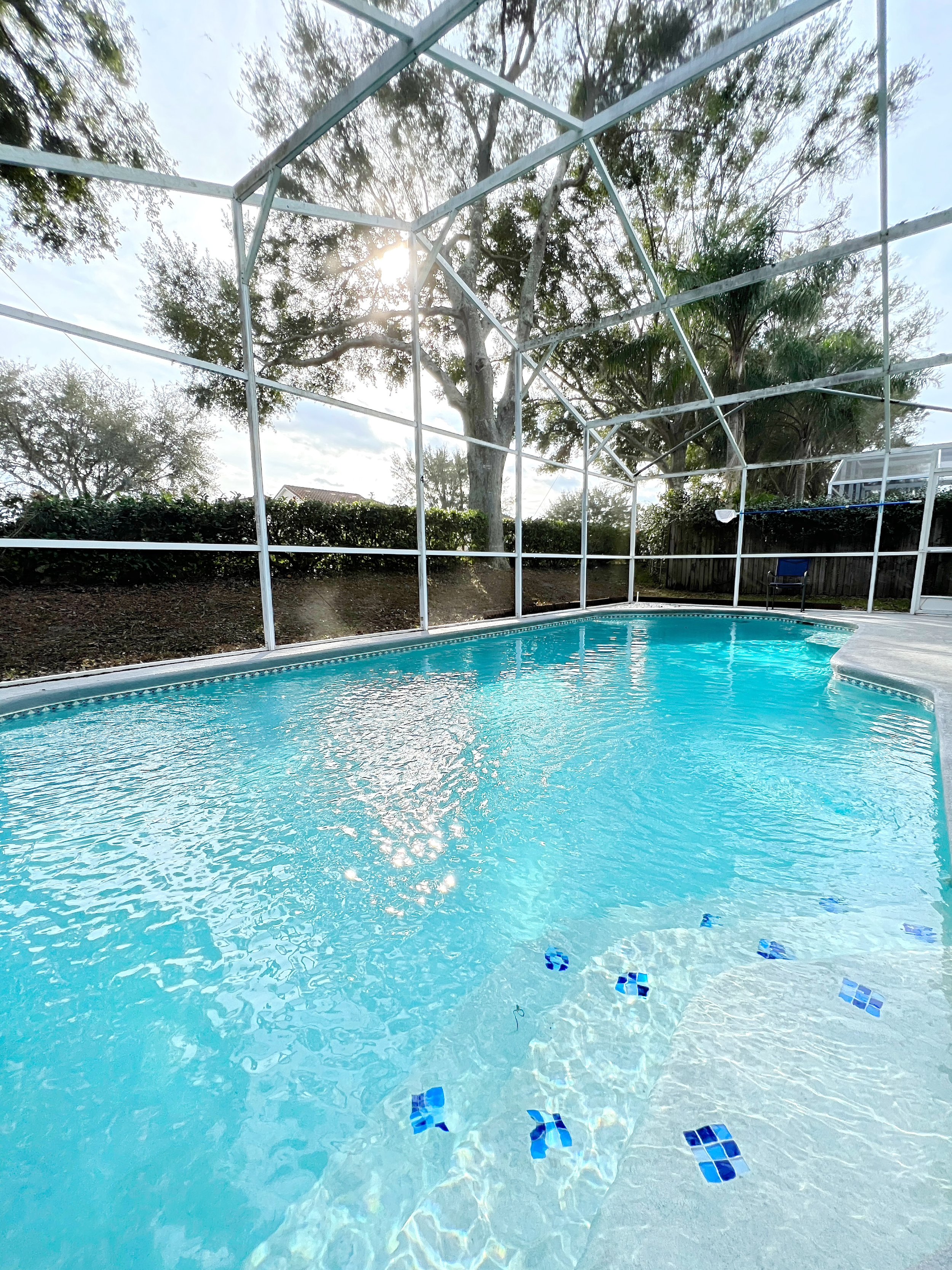 Big Blu Pool Services