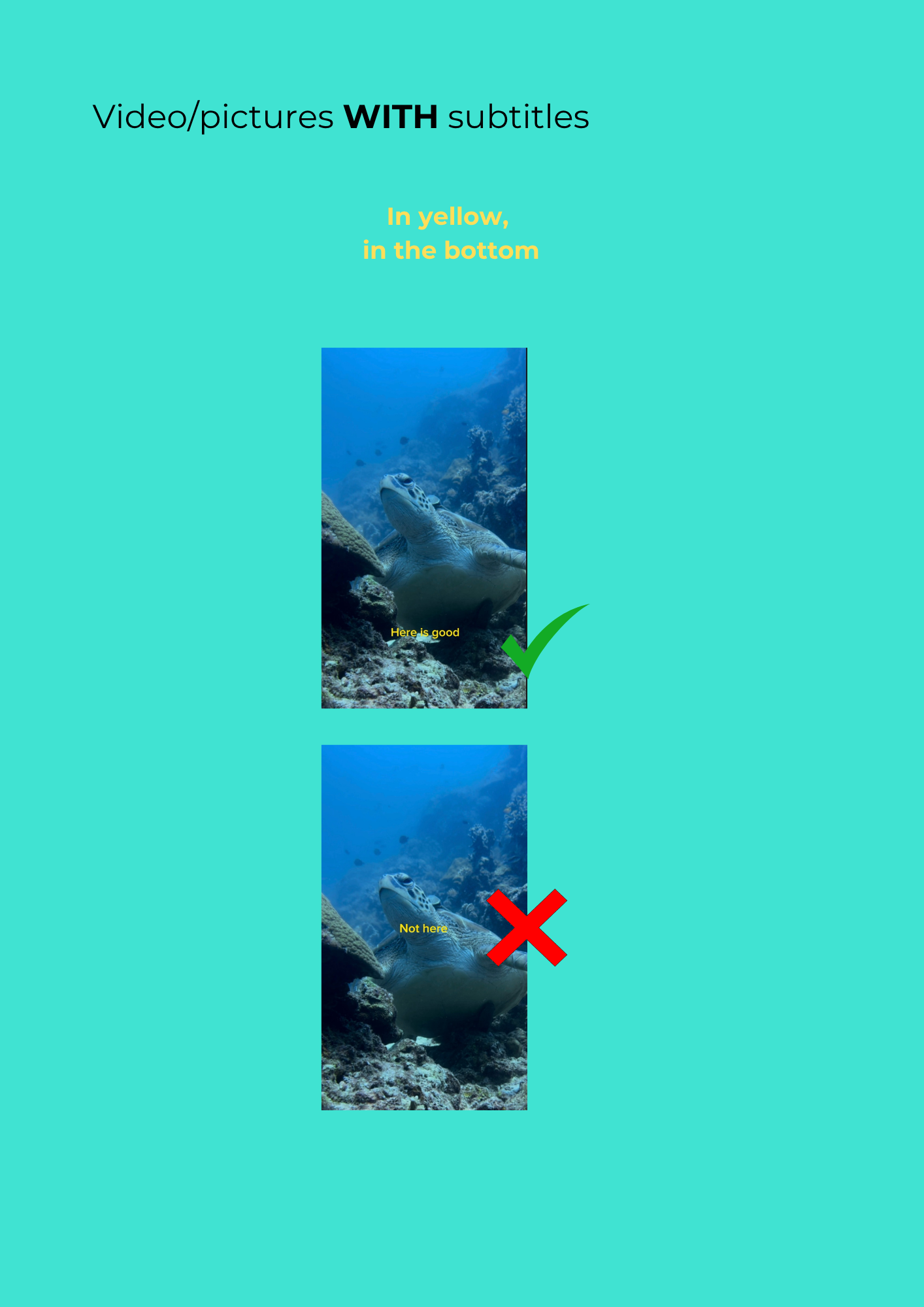 10.png