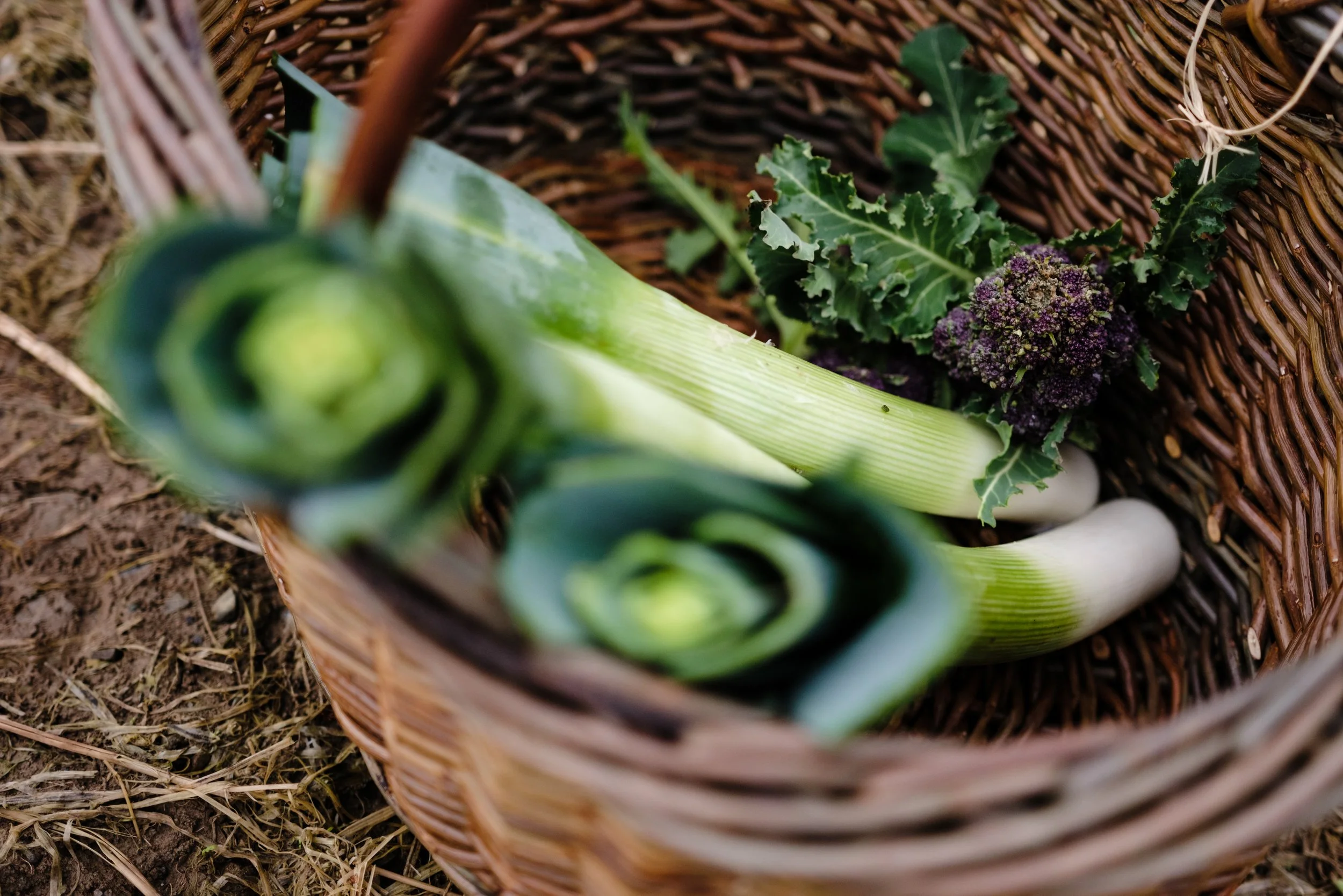 001 Initial Meeting with Mollie12.jpg