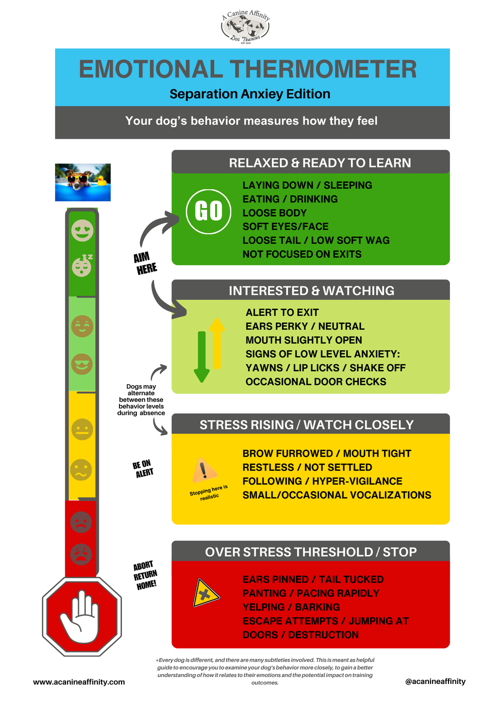 Dog Anxiety Behavior: Expert Tips to Calm Your Nervous Pup