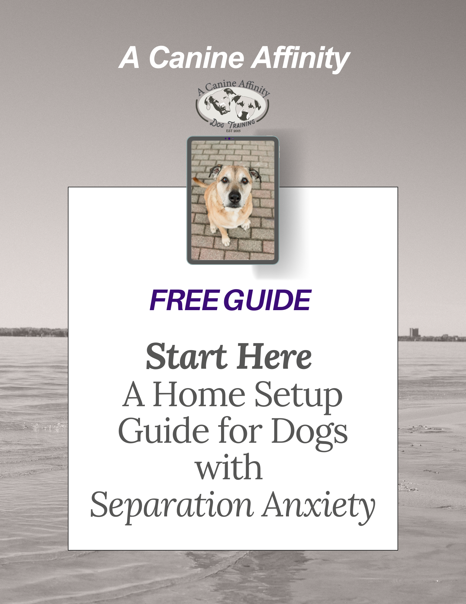 Free Guide: Start Here! A Home Setup Guide for Dogs with Separation Anxiety