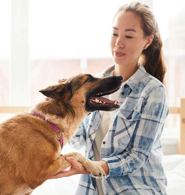 Photo inspiration: Fresh Look at Separation Anxiety