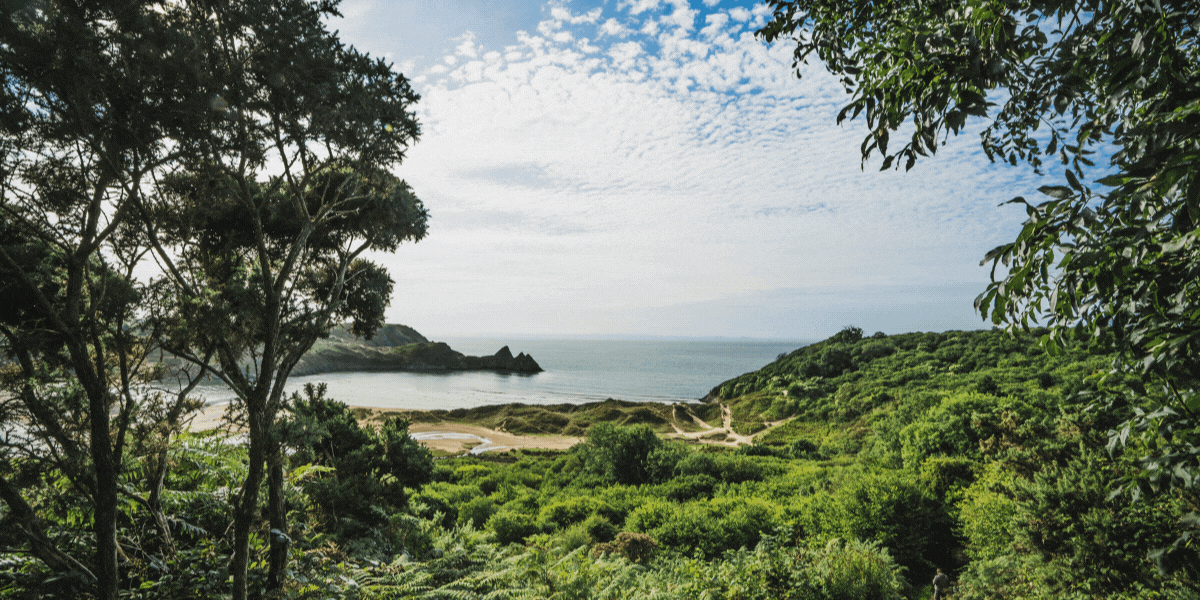 The Gower.gif