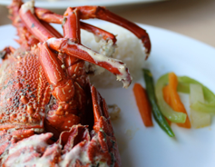 Le Capitaine in Mauritius