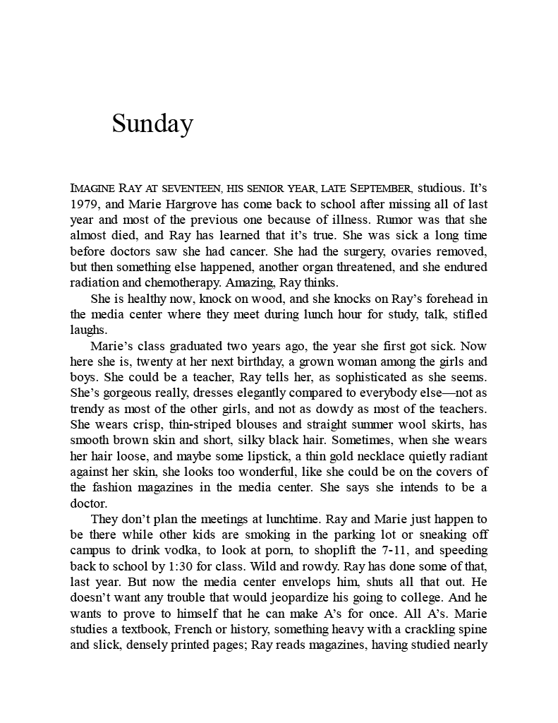 Triangle Ray by John Holman — Dzanc Books