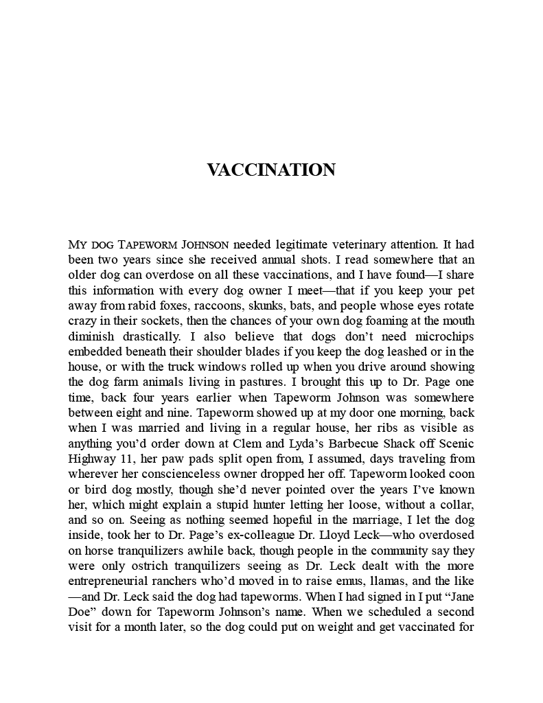 The Long Haul by Amanda Stern eBook — Dzanc Books