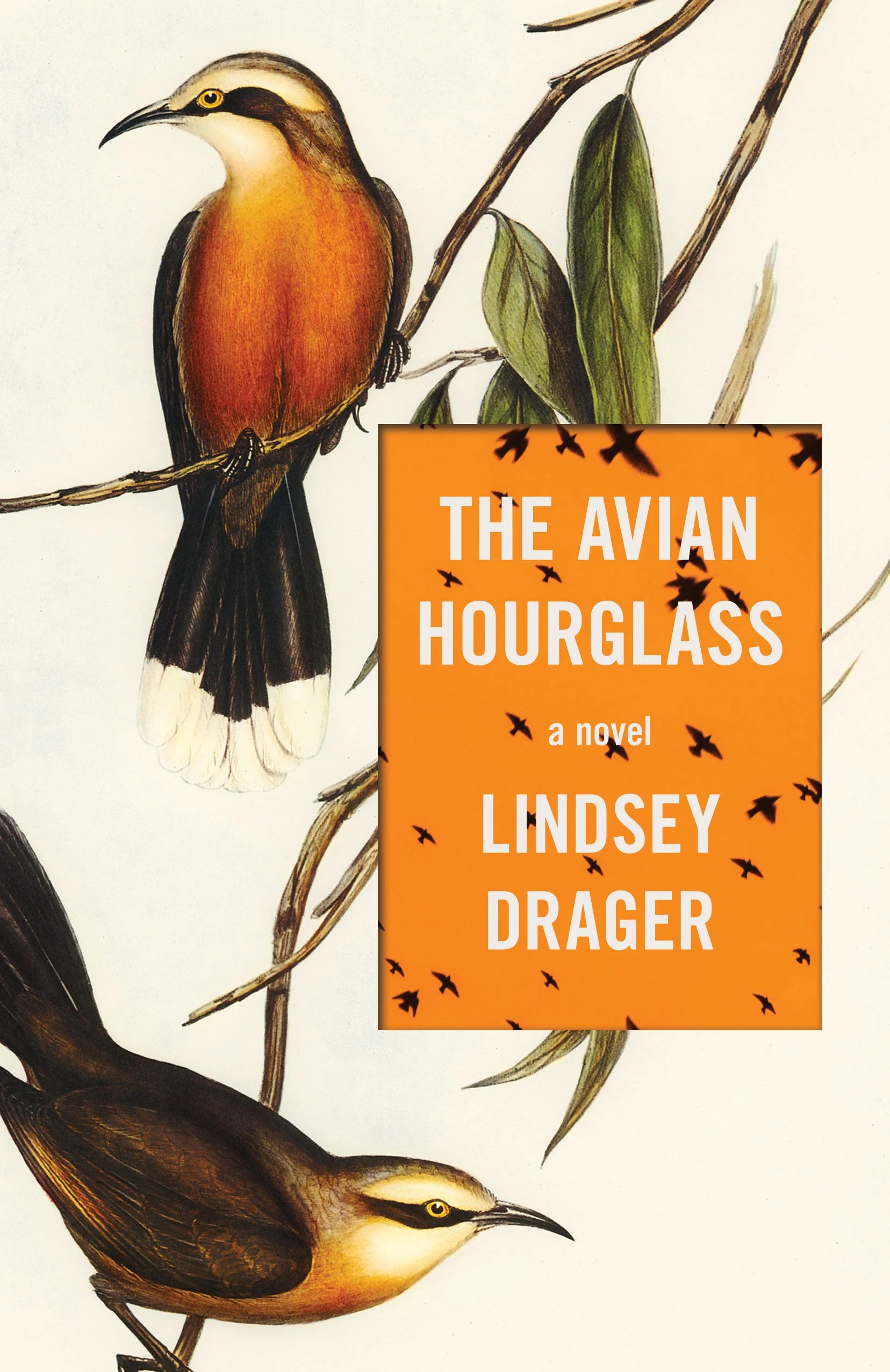 The Avian Hourglass eBook by Lindsey Drager