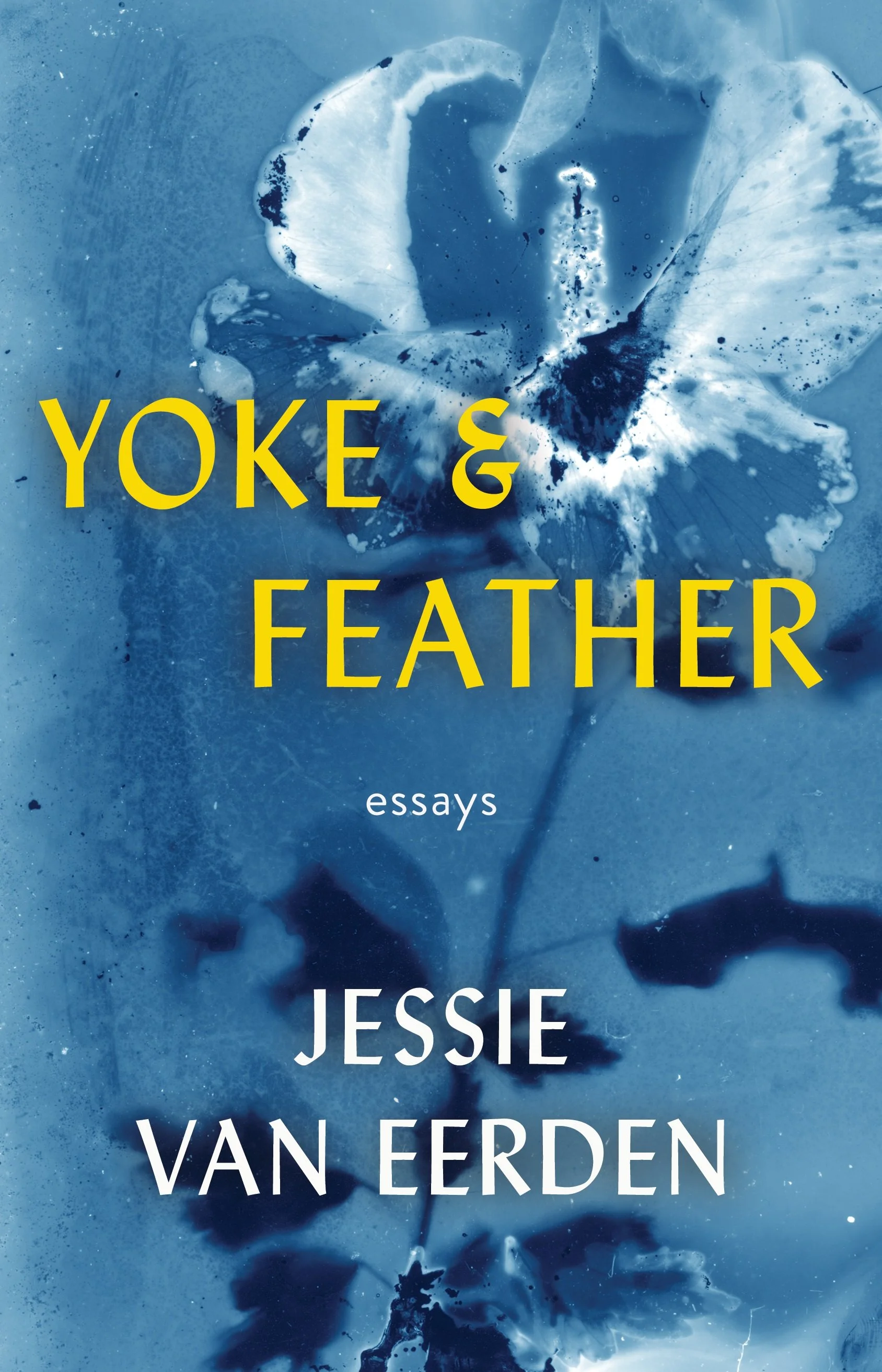 Yoke and Feather eBook by Jessie van Eerden