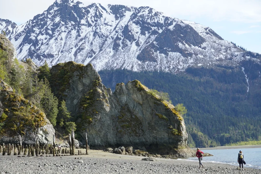 Hiking Kachemak Bay State Park