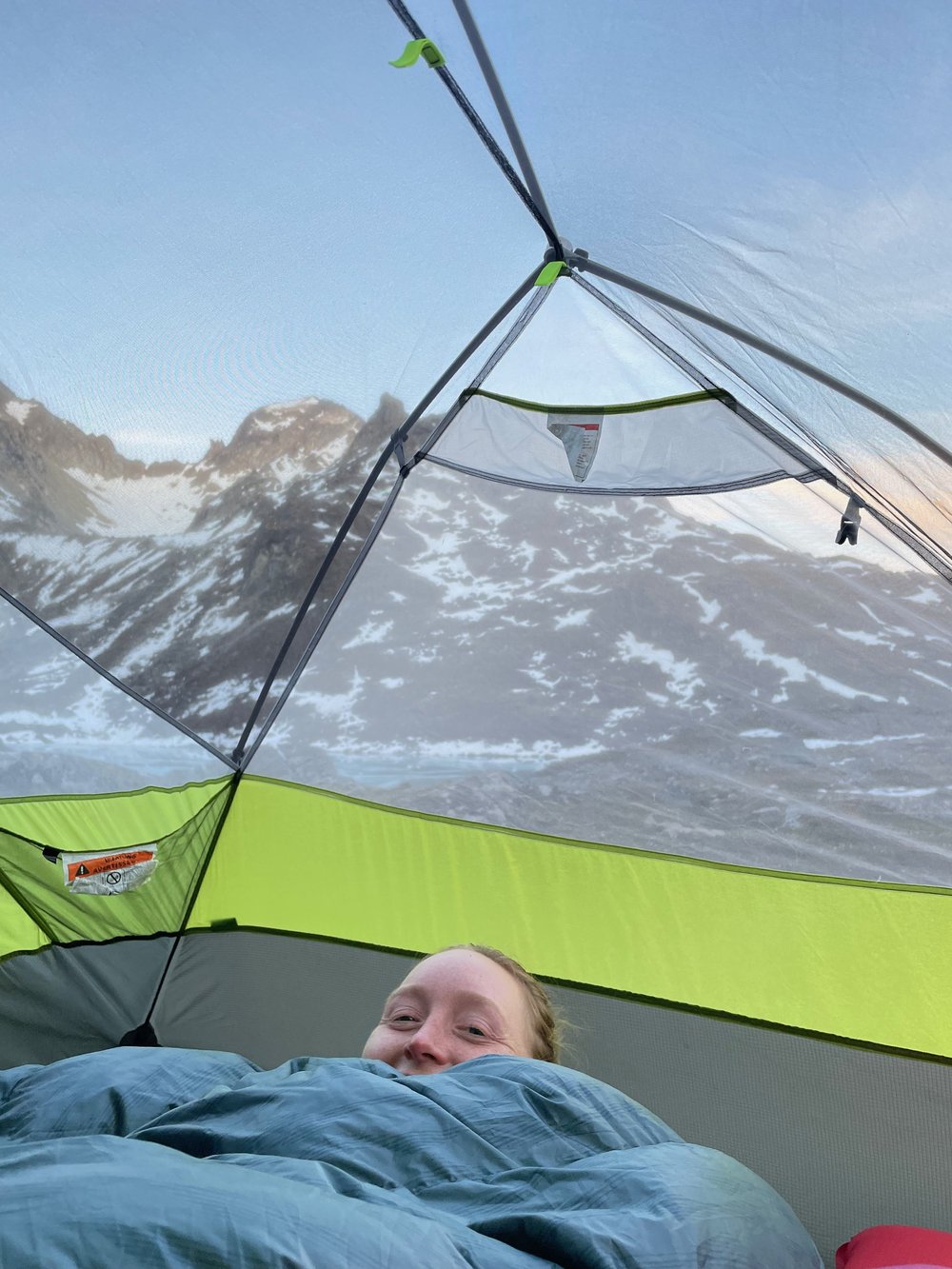 keley peeping in the tent.jpeg