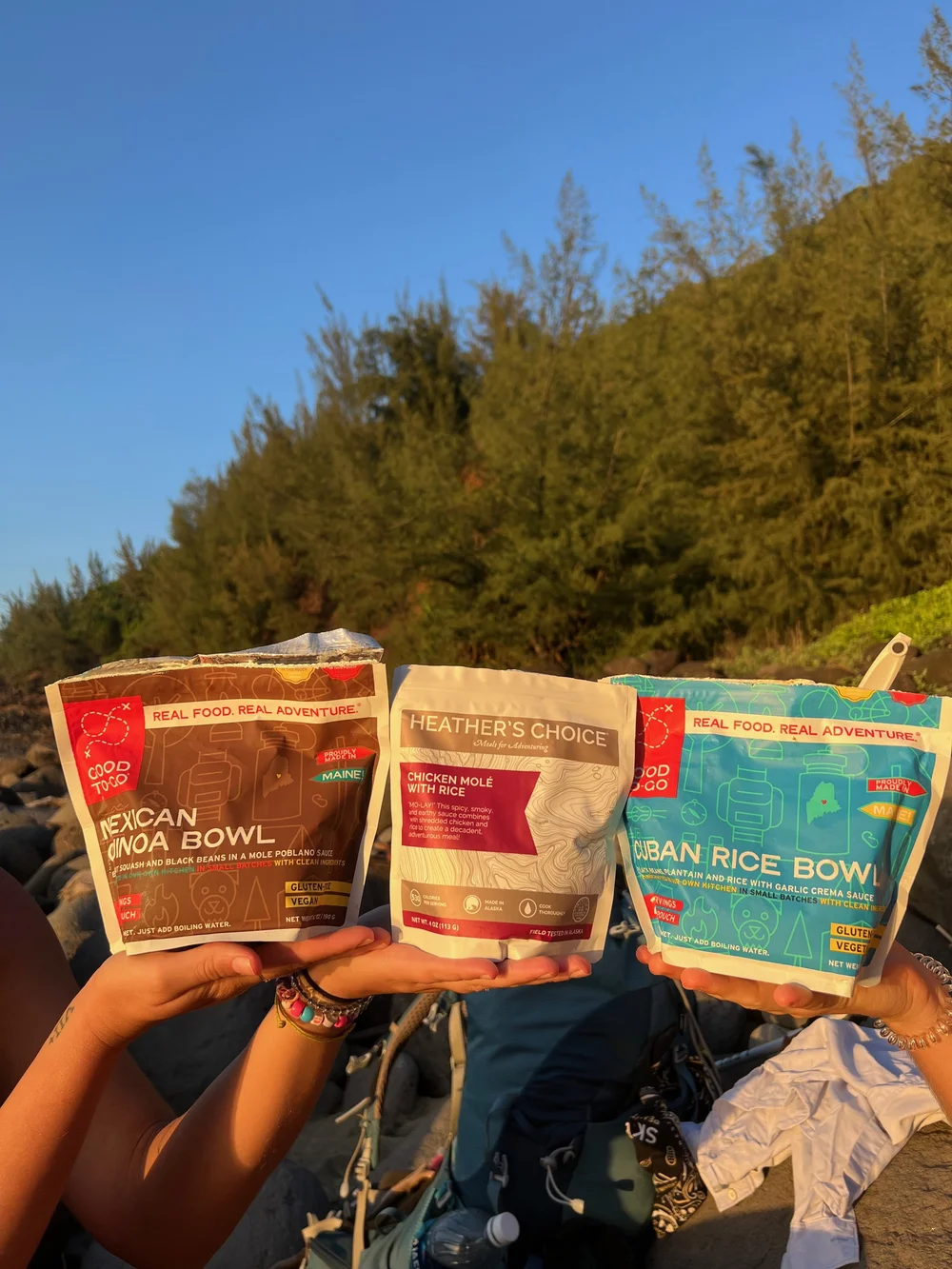 good to go meals.jpeg