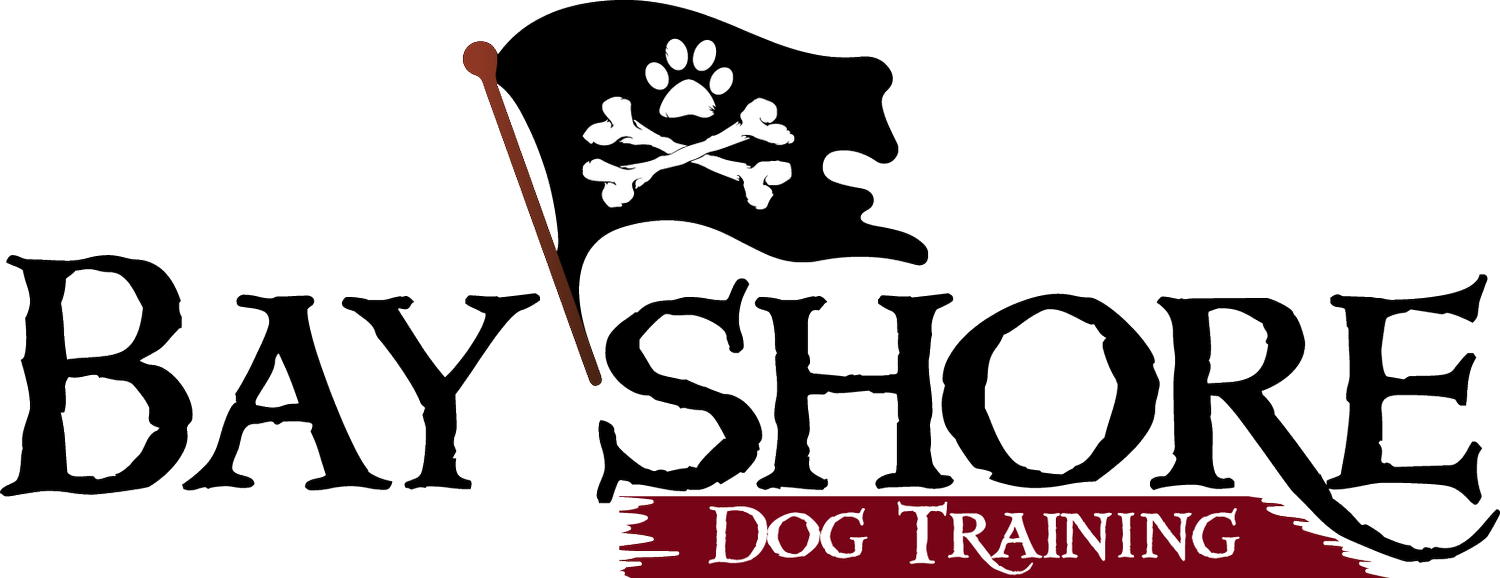 Ashley Parker Dog Training