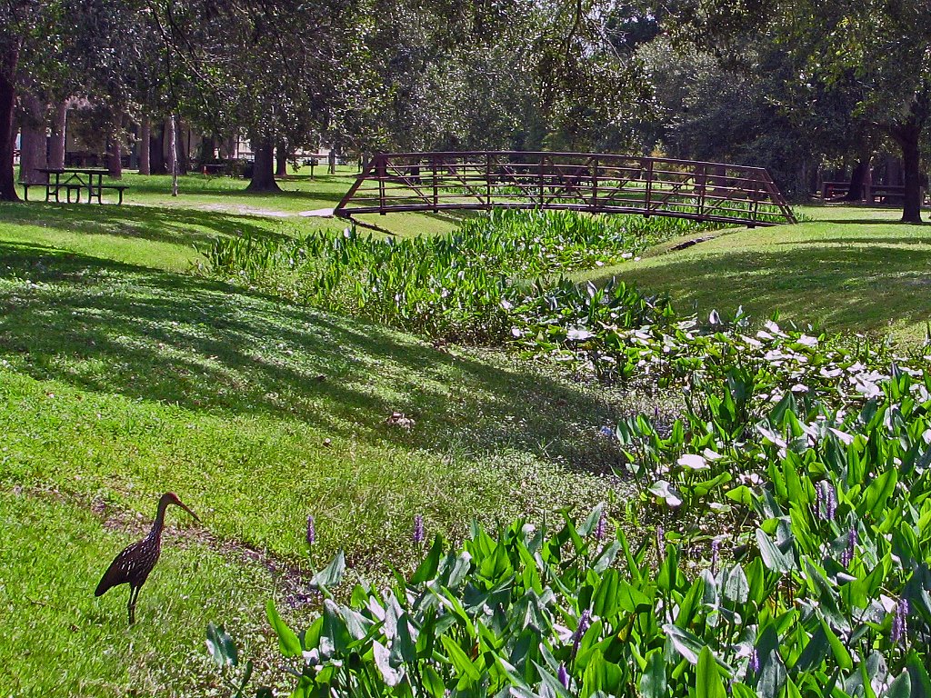 Urban Group Class #2