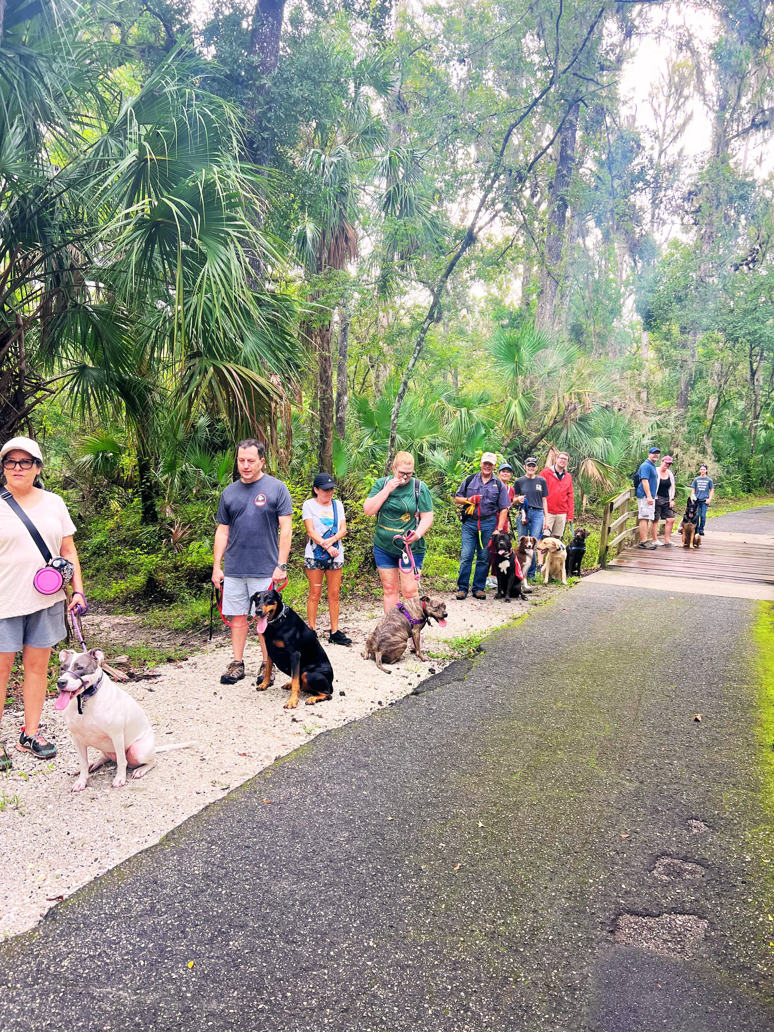 August 2026 Pack Walk