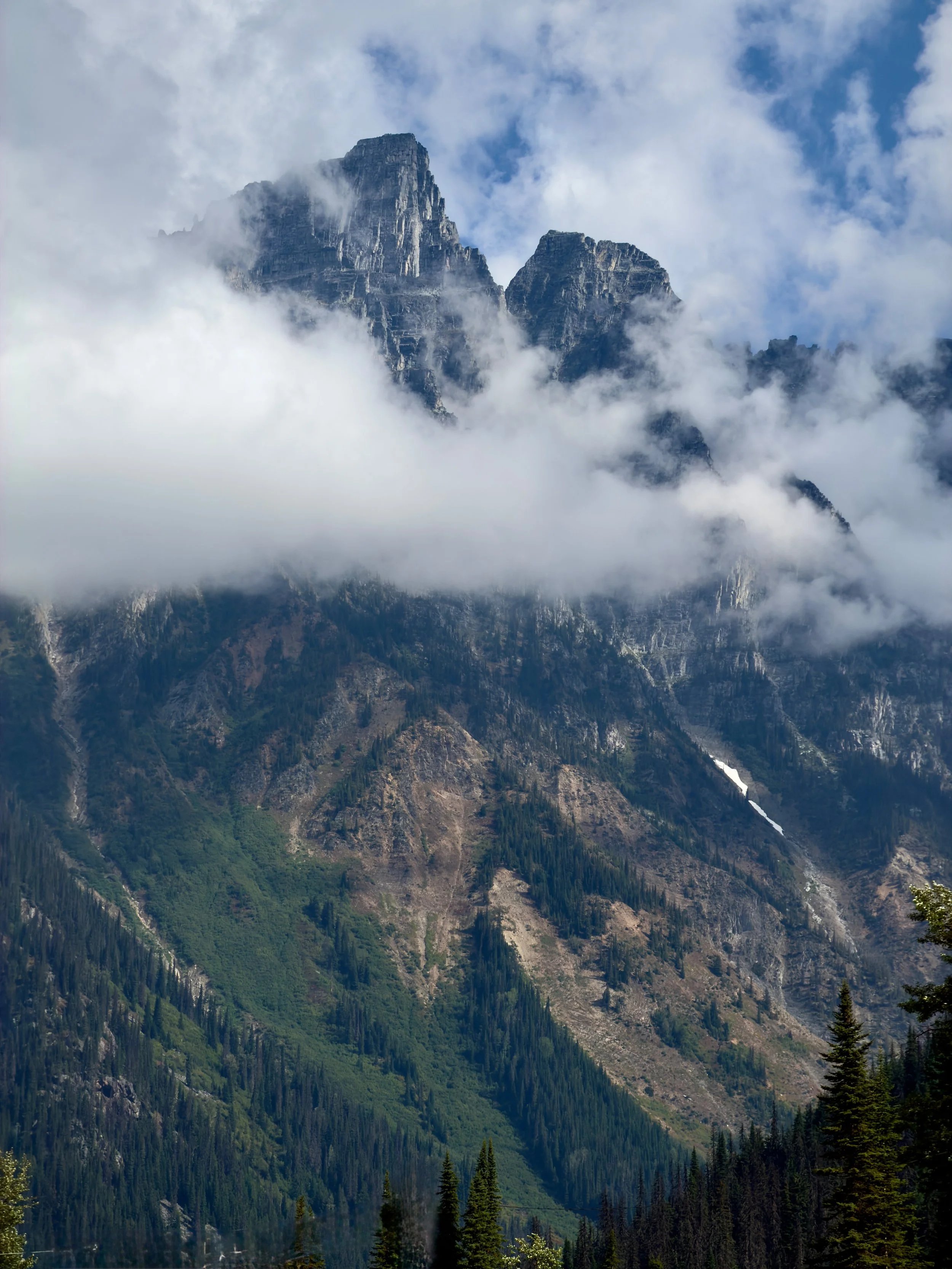 IMG_9990 2 copy.jpg