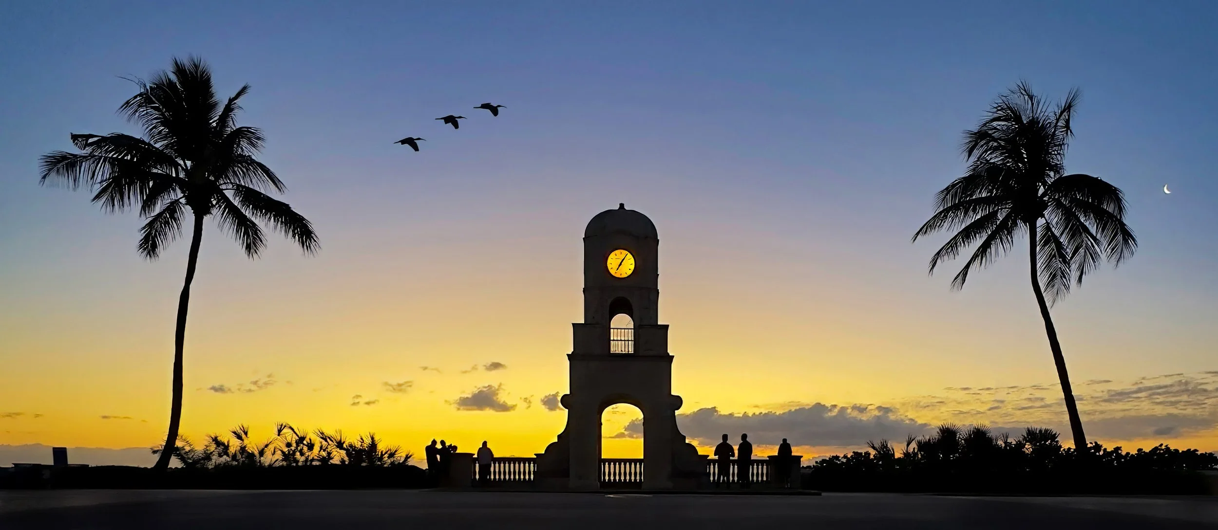 Pano Squarespace.jpg