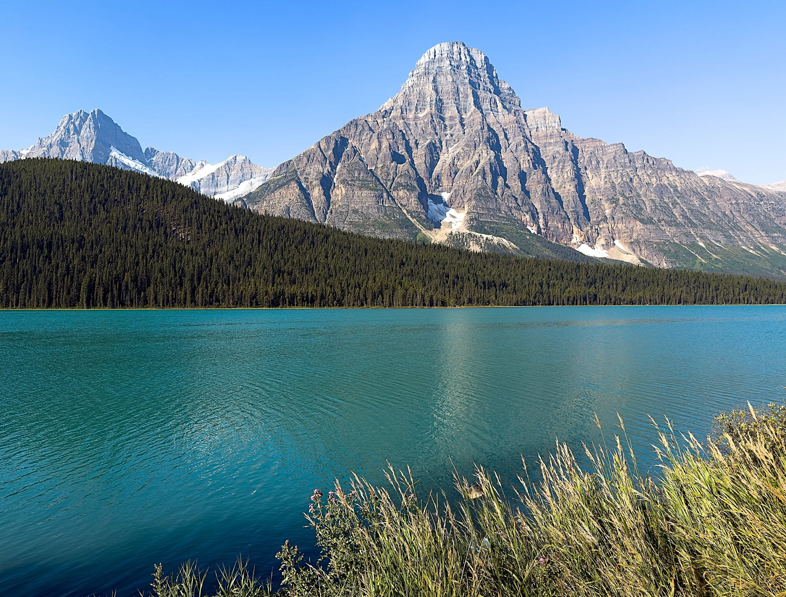 IMG_0694 copy 2.jpg