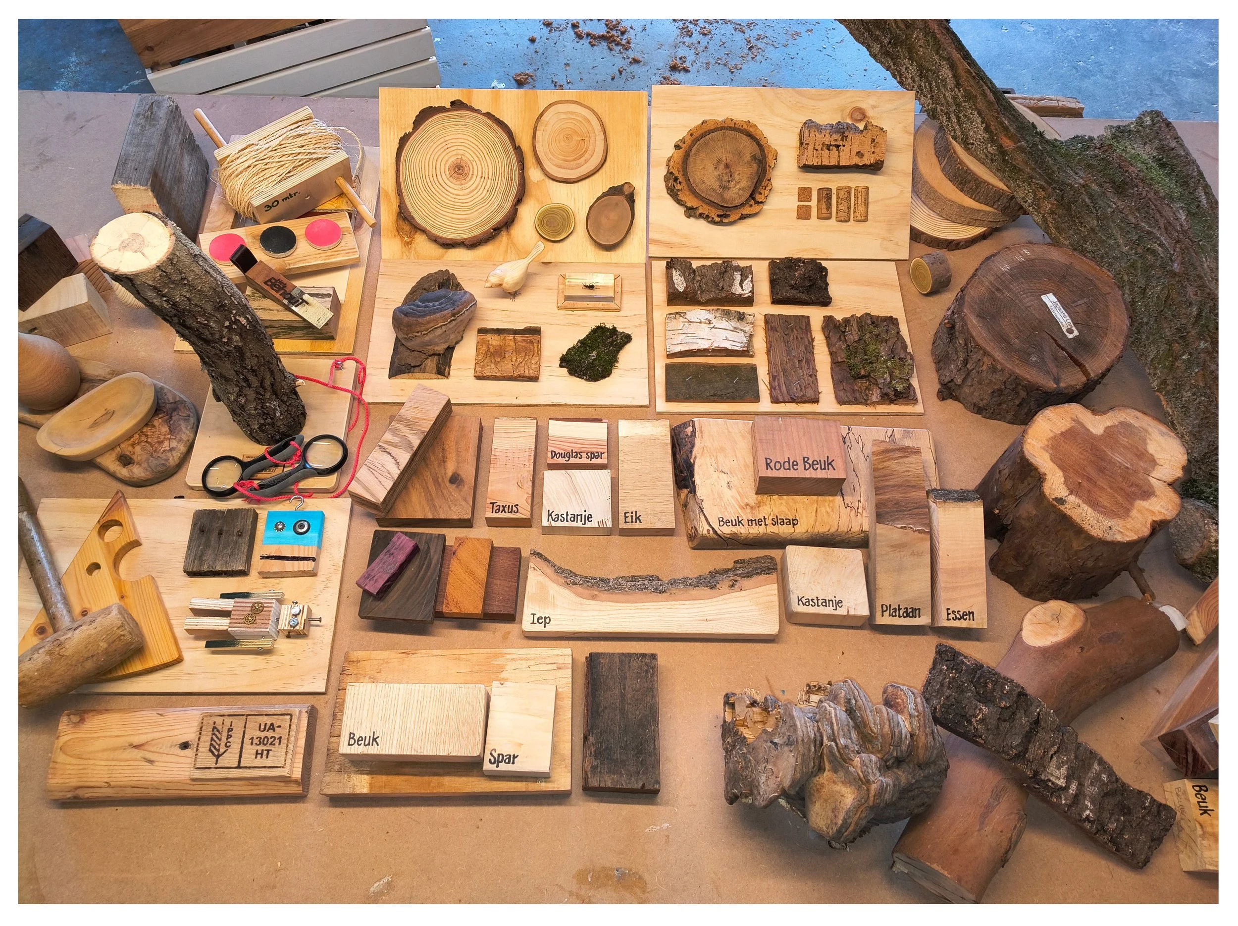 nme gastlessen circulair hout