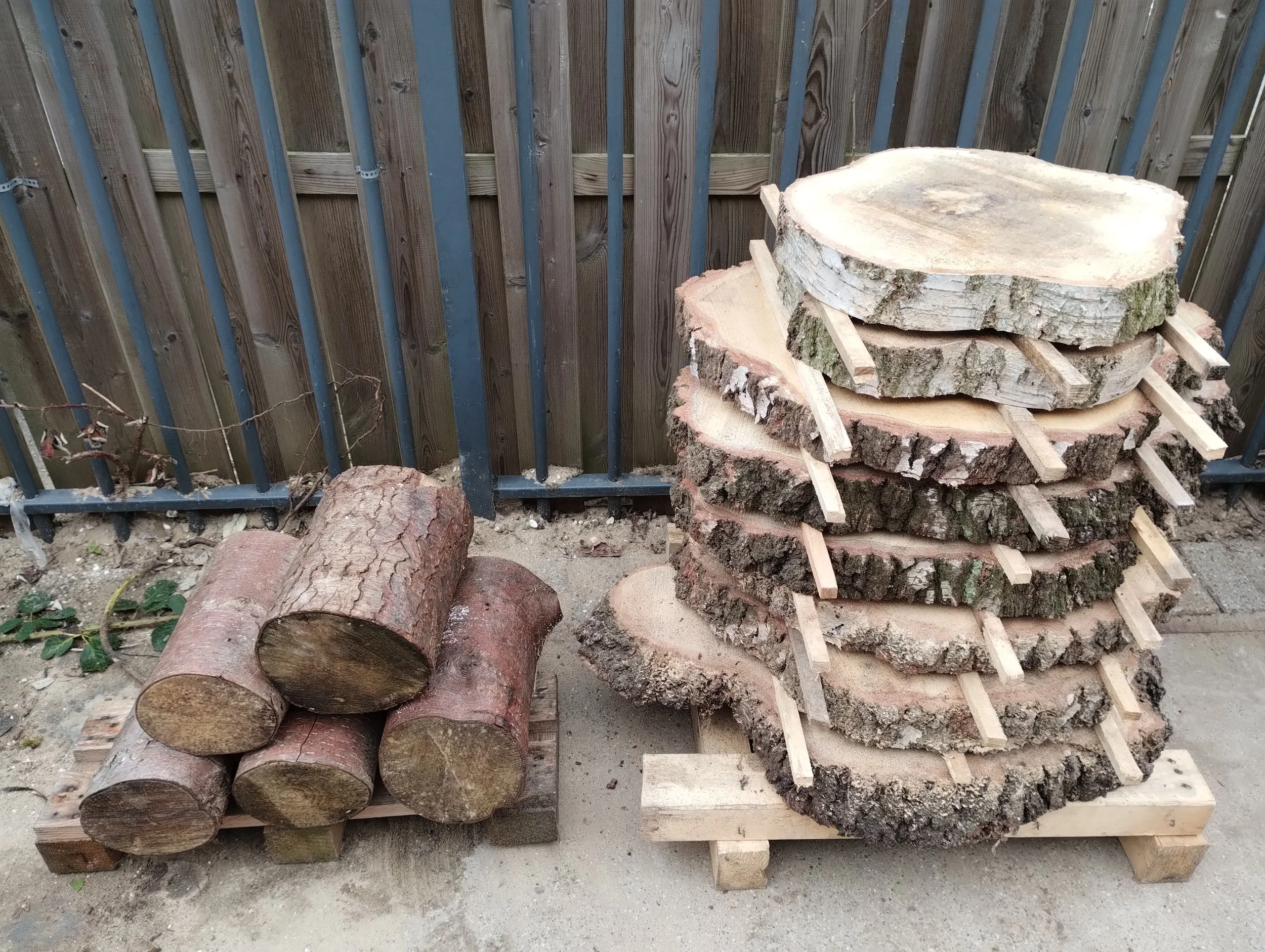 plakken en schijven hout van bomen uit de regio