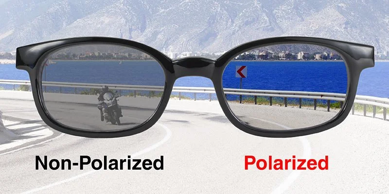 Polarized