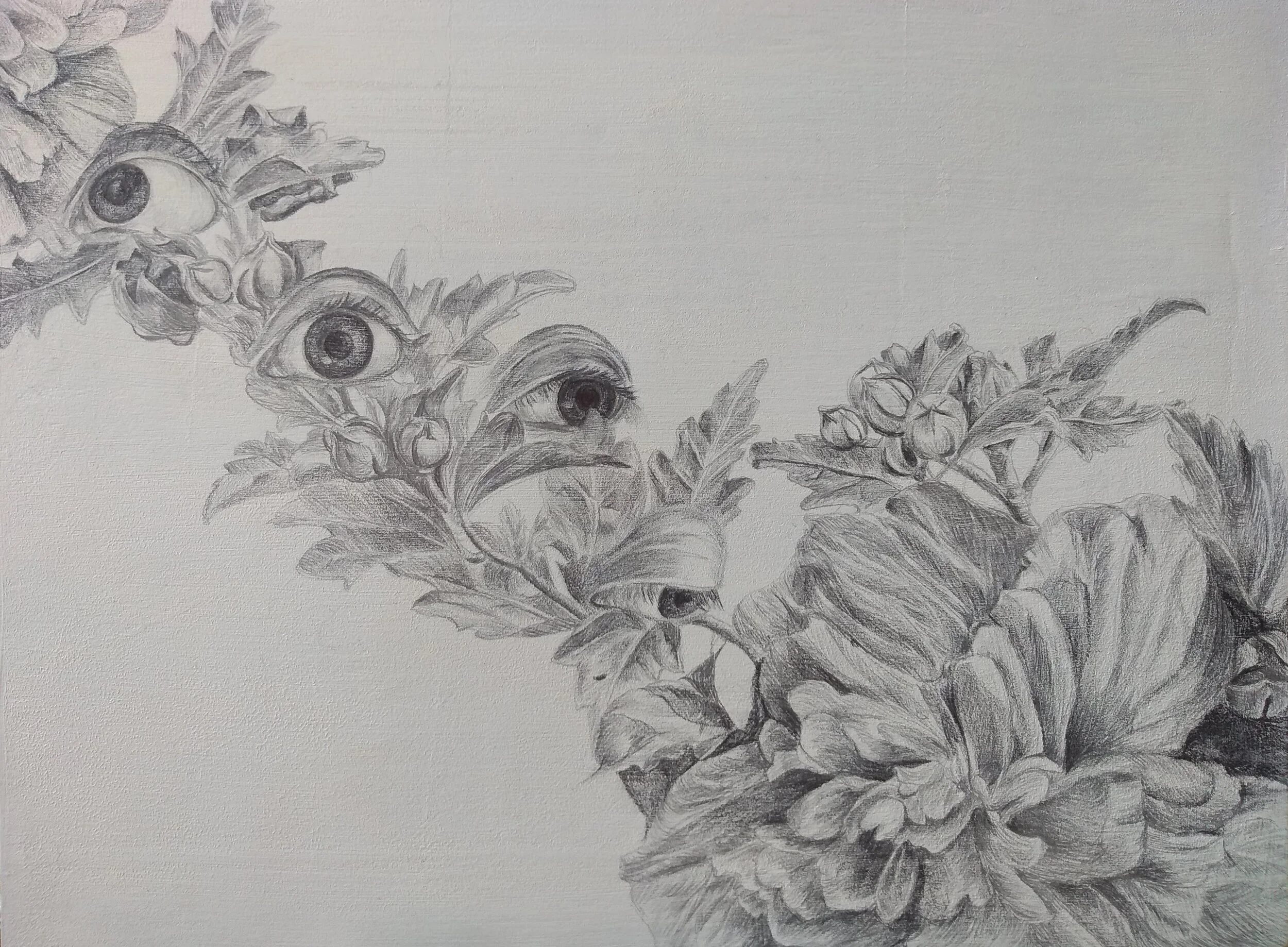 Beauty is in the Eye, Graphite on Panel, 2020