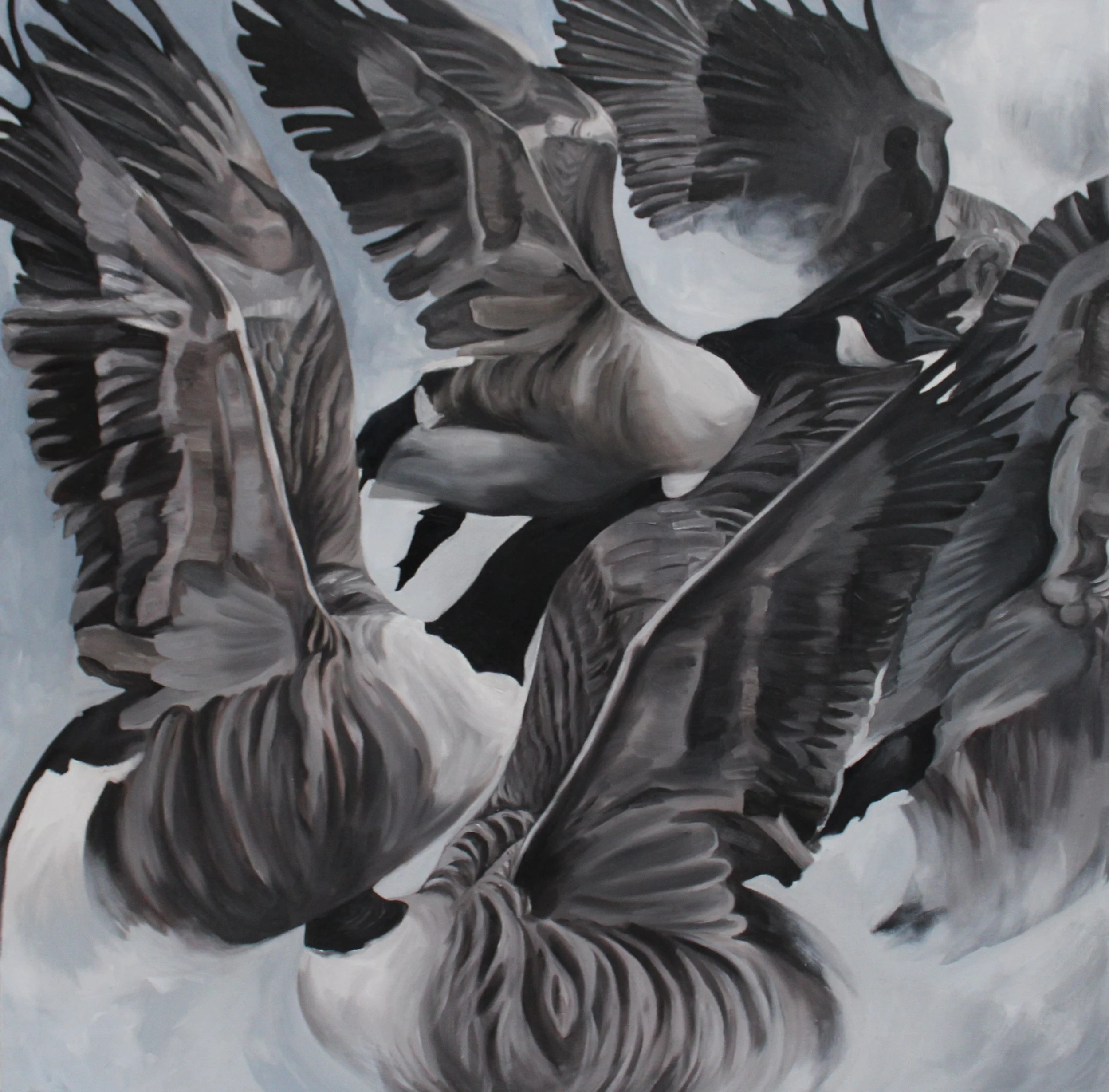 Wild Geese, Oil on Canvas, 2021, 37 1/4" x 37"