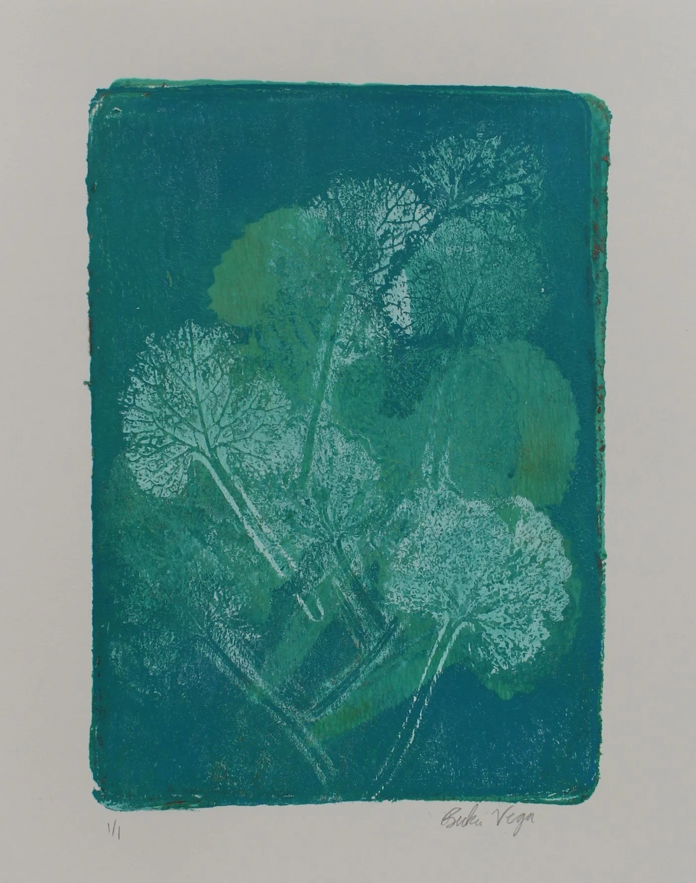 Green Impressions, Monoprint, 2024