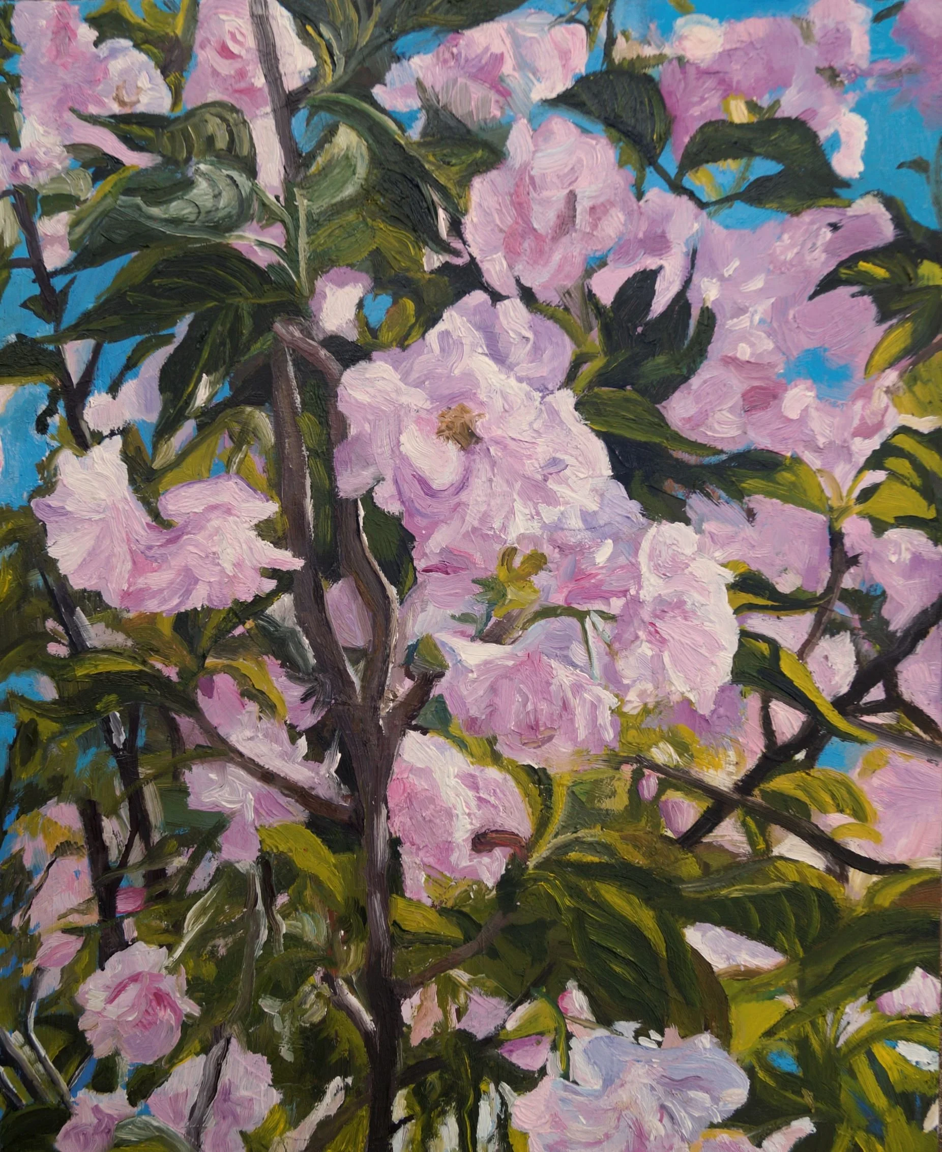 Spring, 12" x 9," Oil on panel, Private Collection