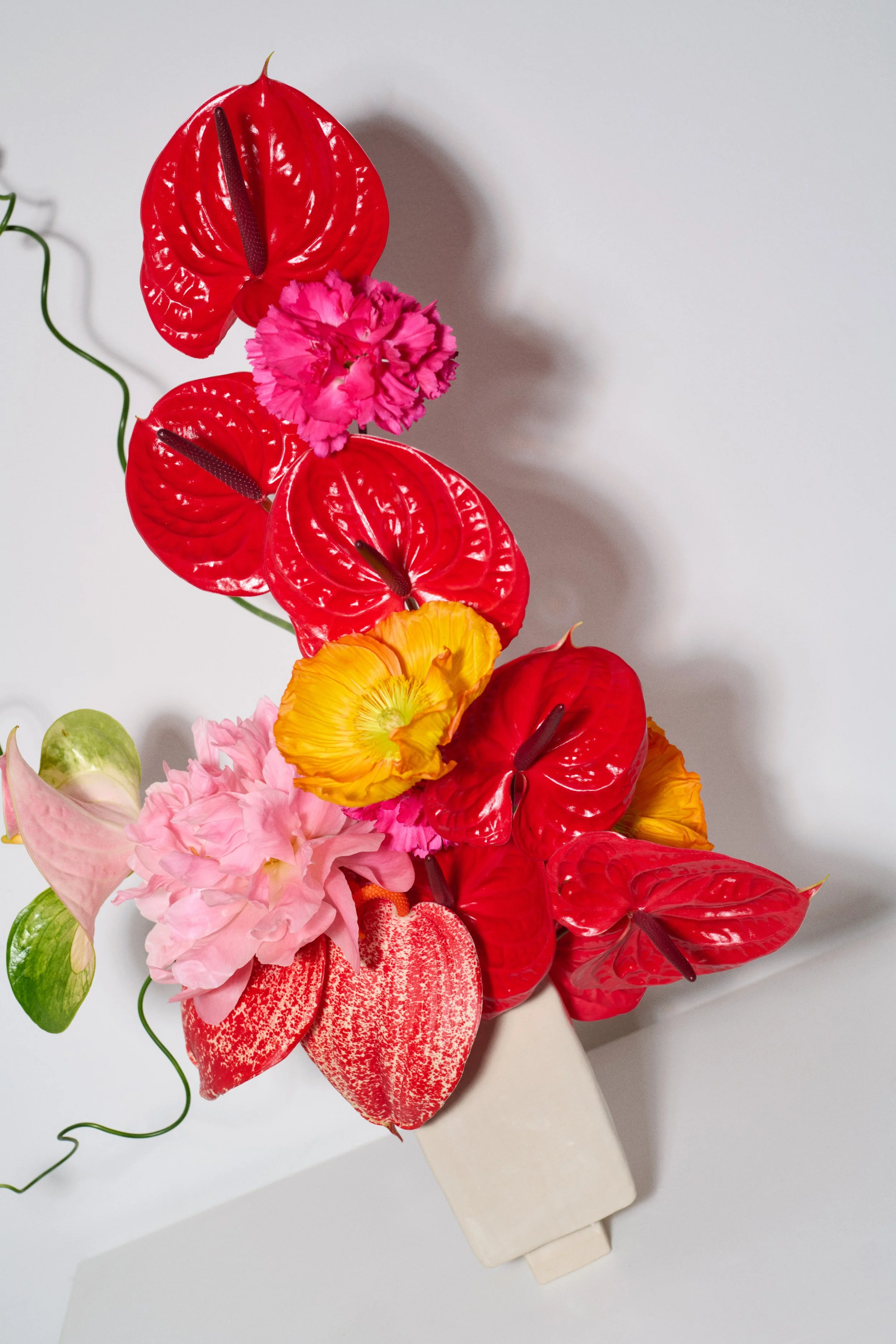 1993 VOX 02B MACY SPS_Macys_1651136_BA1_L4_359-COLOROPT1_RT.jpg