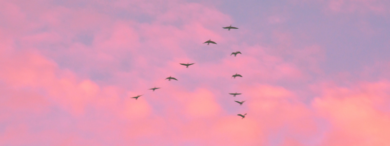 Soft Power Coworking