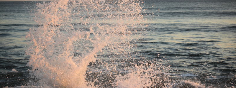 Crowning (Live Stream)