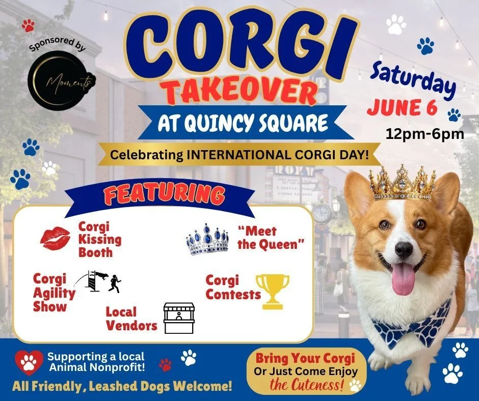 Corgi Takeover at Quincy Square