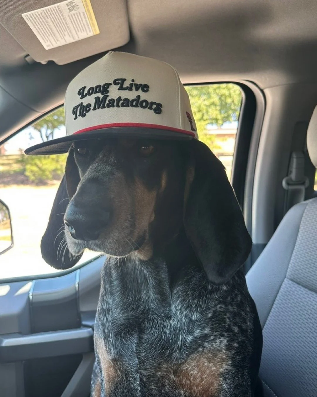 Fetching touchdowns all day long. Come by @redraideroutfitter and pick up merch before the big game on January 1st! 🏈🐶
&bull;
&bull;
&bull;
#shopsatlegacyeast #redraideroutfitter