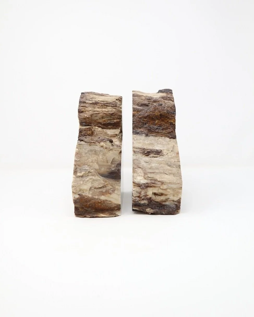 Pair of very heavy polished grey and white petrified wood bookends.