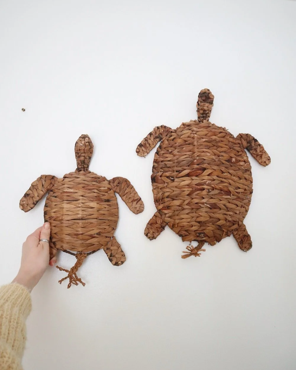 Set of  vintage turtle wall hangings