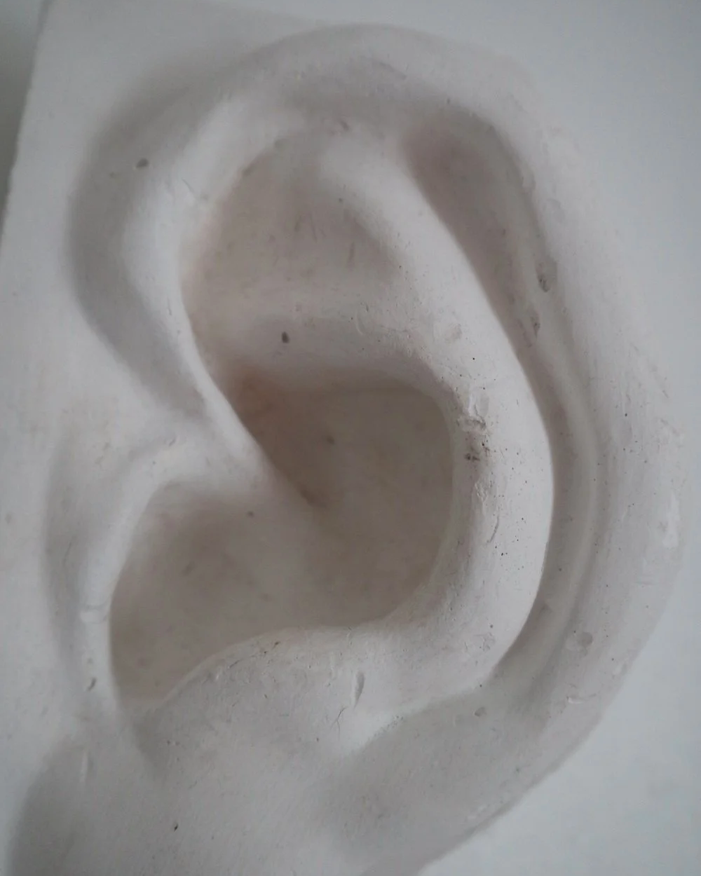 Vintage white plaster cast of David's ear by Michelangelo.