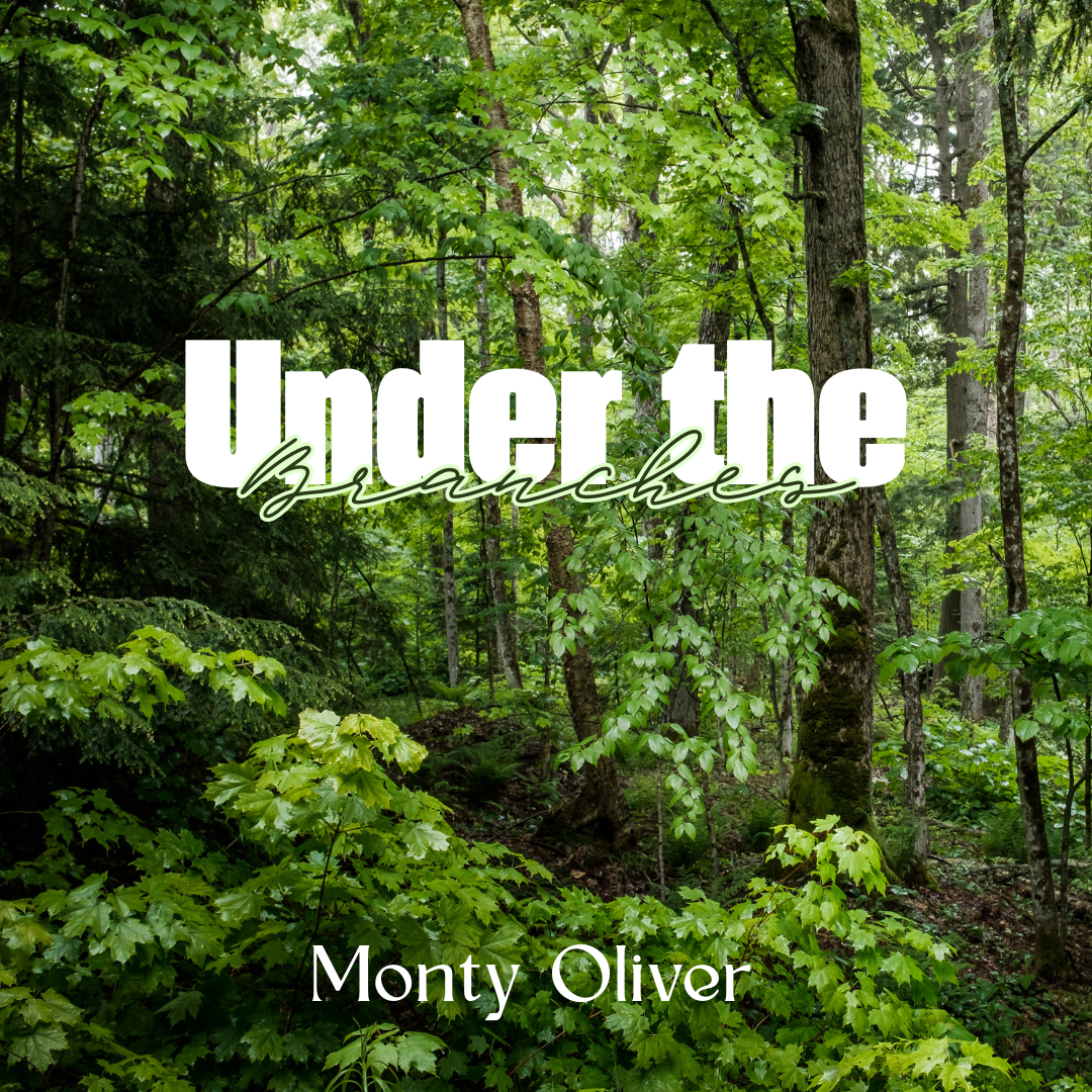 Under the Branches