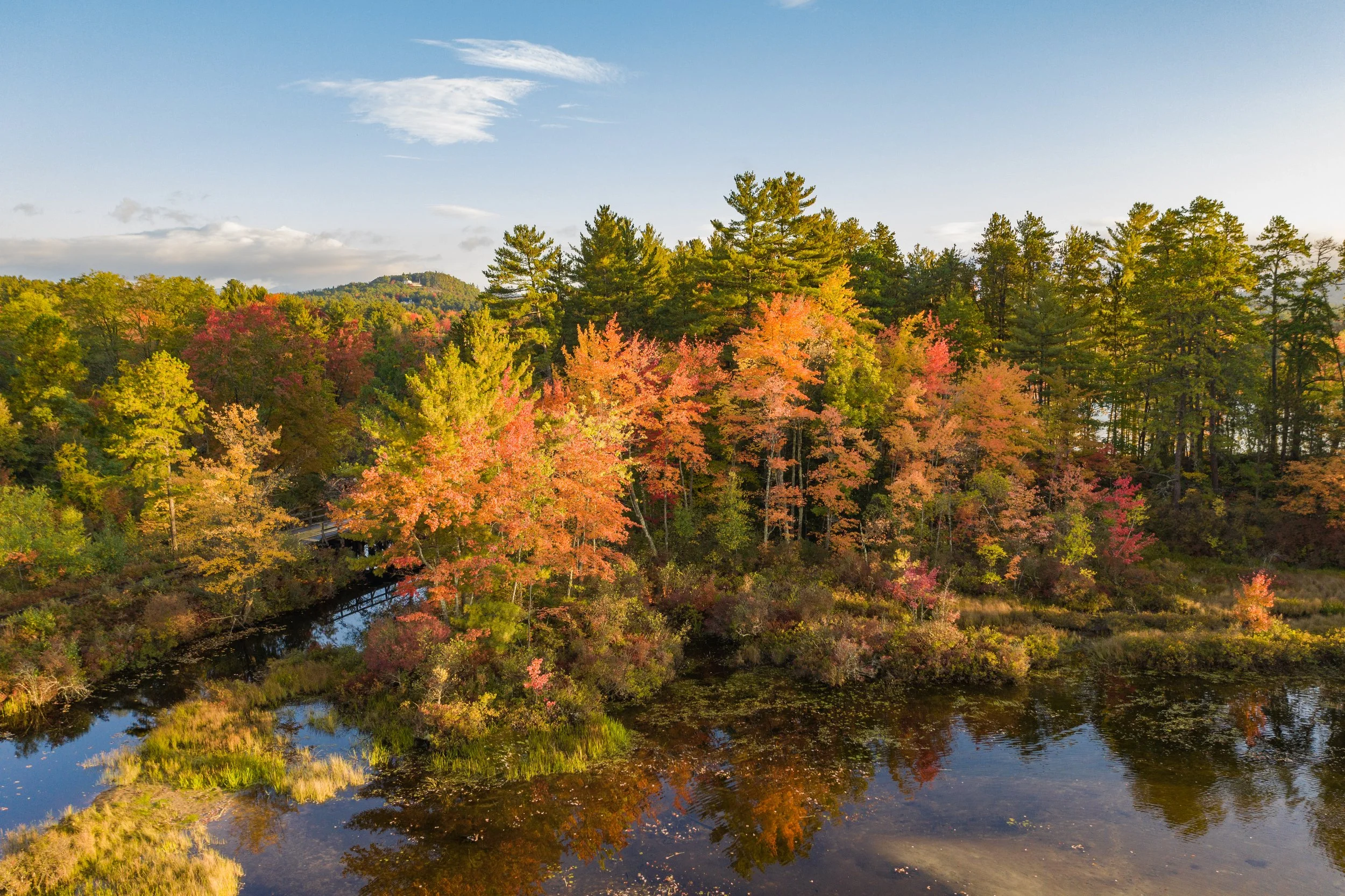 A scenic landscape during autumn with a mix of green, orange, and red trees surrounding a calm river reflecting the colorful foliage and the sky with some clouds.