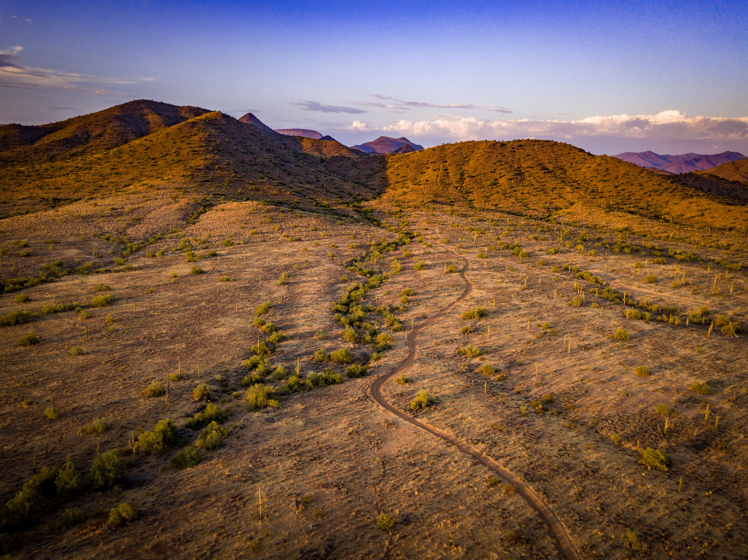 DavidStevensDrone-97.jpg